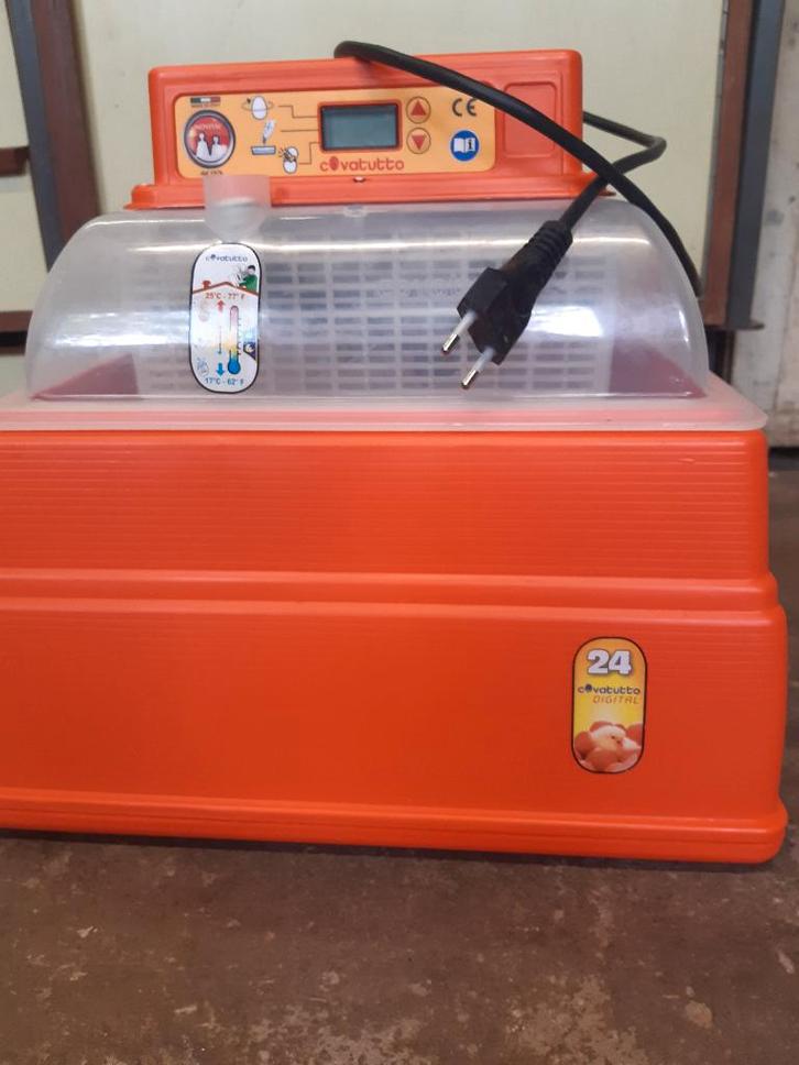 Broedmachines en onderdelen, Dieren en Toebehoren, Pluimvee | Toebehoren, Zo goed als nieuw, Broedmachine, Ophalen