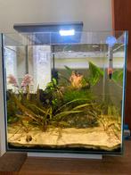 Aquarium, Animaux & Accessoires, Enlèvement, Comme neuf