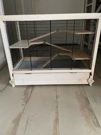 Knaagdierenkooi, Dieren en Toebehoren, Ophalen, Gebruikt, Kooi