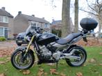 Honda CB 600 Hornet, Motos, Motos | Honda, Naked bike, 600 cm³, Particulier, 2 cylindres