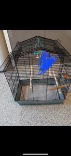 vogelkooi, Dieren en Toebehoren, Ophalen of Verzenden, Zo goed als nieuw, Kooi
