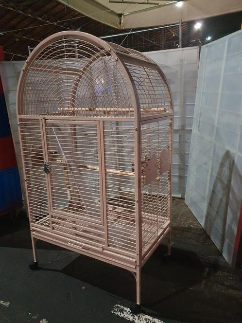 NEW Cage pour perroquet Elektra Saumon, Animaux & Accessoires, Oiseaux | Cages & Volières, Neuf, Enlèvement ou Envoi