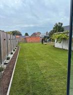 Gazon, Tuin en Terras, Gras en Kunstgras, Ophalen of Verzenden, Zo goed als nieuw