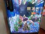 Aquarium en kast en toebehoren, Ophalen, Gebruikt