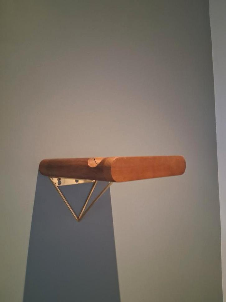 Fiets ophangsysteem design - merk DAYDE, Huis en Inrichting, Woonaccessoires | Wandplanken en Boekenplanken, Zo goed als nieuw