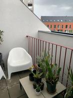 planten, Ophalen
