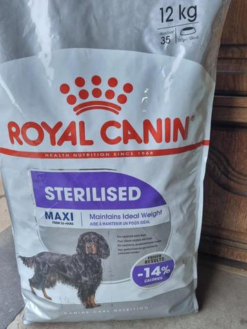 royal canin sterilesed maxi