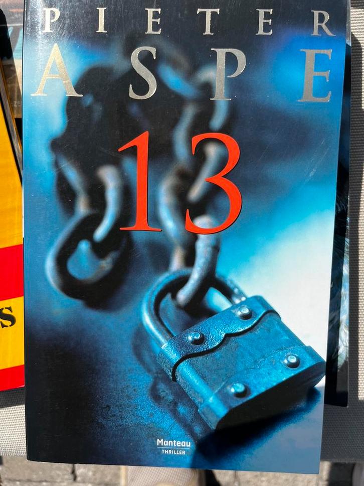 Pieter Aspe - 13, Boeken, Thrillers, Zo goed als nieuw, Ophalen