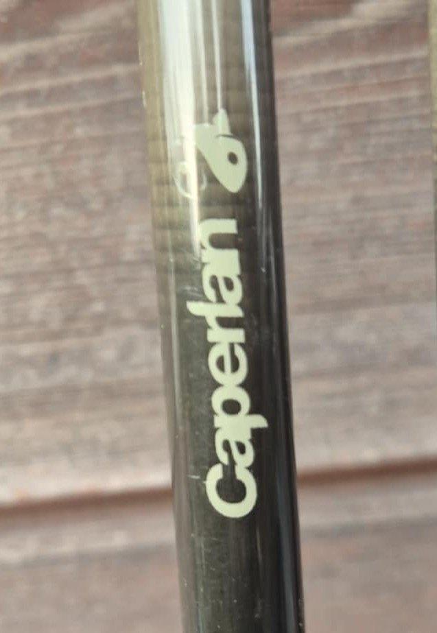 Lot complet matériel de pêche à la carpe, Sports nautiques & Bateaux, Pêche à la ligne | Carpes, Utilisé, Ensemble complet, Enlèvement