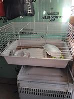 Binnenkooi, Dieren en Toebehoren, Ophalen, Gebruikt, Cavia