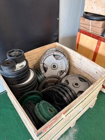 50mm olympische halterschijven fitness beschikbaar voor biedingen