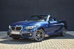 218i Cabrio Sport Line, Auto's, BMW, 100 kW, 4 zetels, Blauw, Bedrijf