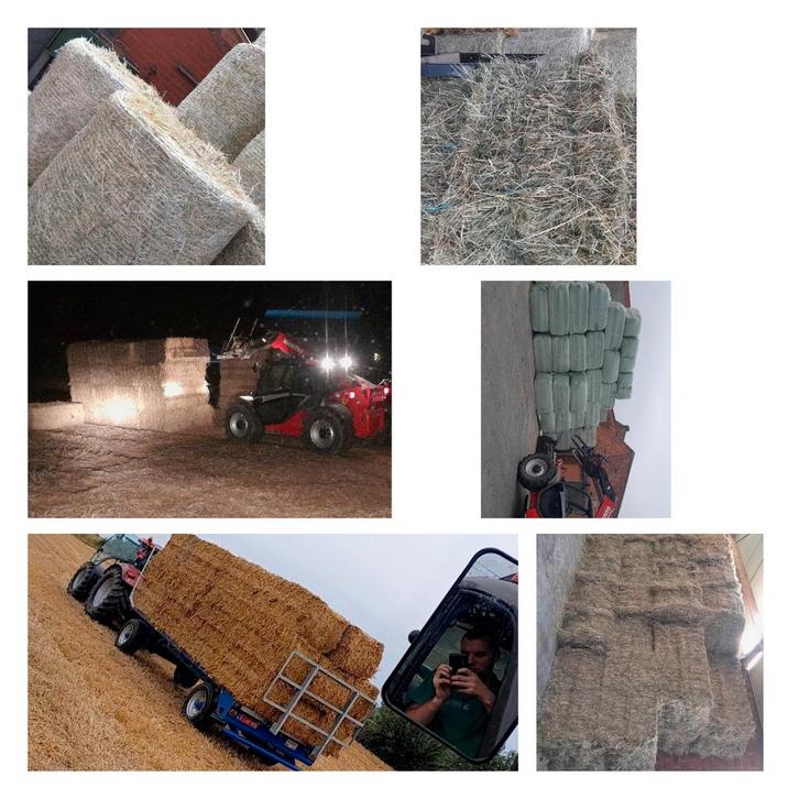 Mais biet stro mks hooi voordroog, Dieren en Toebehoren, Dierenvoeding, Ophalen