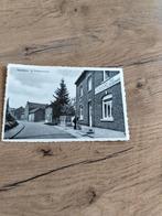 postkaart Eigenbilzen Winkelomstraat drukkerij Bessemans, Ophalen of Verzenden