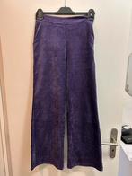 Broek Dames Perla Bella. M, Kleding | Dames, Broeken en Pantalons, Maat 38/40 (M), Paars, Nieuw, Ophalen of Verzenden