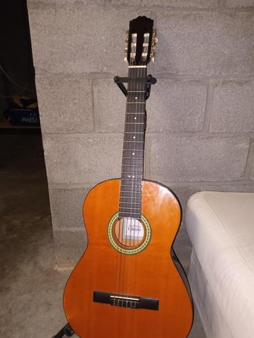 Gitaar beschikbaar voor biedingen