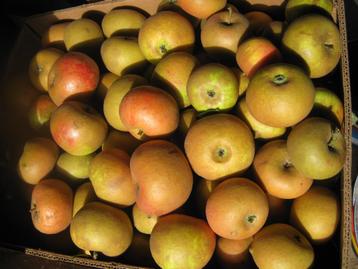 APPELS beschikbaar voor biedingen