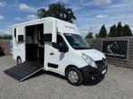 RENAULT MASTER 2.3L | STX | 2016 | HENGST | PAARDENWAGEN, Ophalen, Gebruikt, Overige materialen, Overige typen