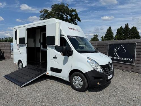 RENAULT MASTER 2.3L | STX | 2016 | HENGST | PAARDENWAGEN, Dieren en Toebehoren, Paarden en Pony's | Trailers en Aanhangwagens