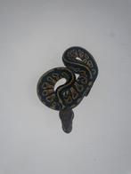 Ball python Phantom, Dieren en Toebehoren, Reptielen en Amfibieën, Slang, 0 tot 2 jaar
