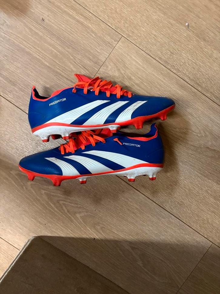 Adida PredatorvoetbalschoenenBlauw,RoodHeelGoedeStaatMaat 42, Sport en Fitness, Voetbal, Zo goed als nieuw, Schoenen, Ophalen