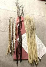 lot decoratietakken + pampas pluimen, Huis en Inrichting, Woonaccessoires | Droogbloemen, Ophalen, Zo goed als nieuw