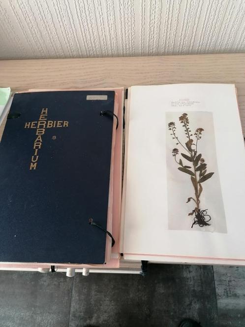 herbier de +- 30 pages, Collections, Minéraux & Fossiles, Autres types, Enlèvement ou Envoi