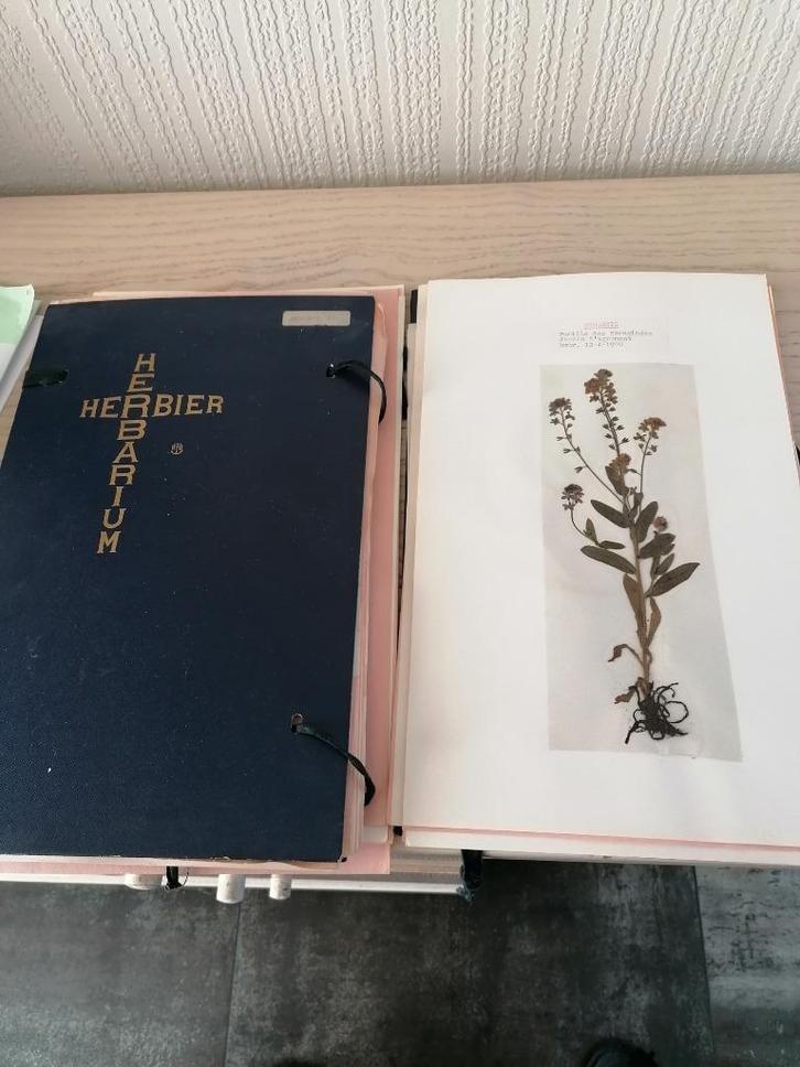 herbier de +- 30 pages, Verzamelen, Mineralen en Fossielen, Overige typen, Ophalen of Verzenden