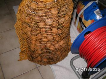 20KG walnoten beschikbaar voor biedingen