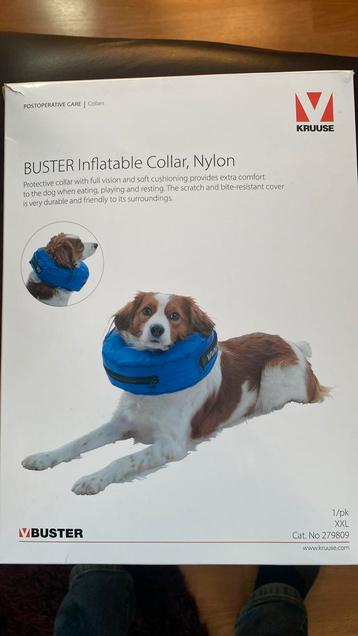 Collerette / collier gonflable pour chien XXL 