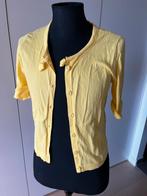 River woods geel vestje m, Kleding | Dames, Ophalen of Verzenden, Zo goed als nieuw, Geel