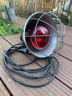 warmtelamp voor dieren, Ophalen of Verzenden, Gebruikt, Kippenhok of Kippenren