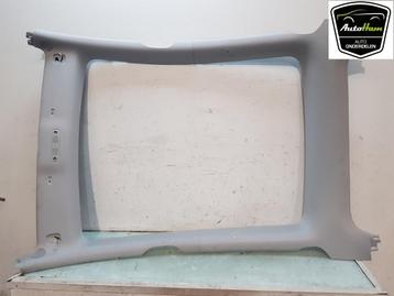 HEMELBEKLEDING Tesla Model Y (5YJY) (01-2019/-) beschikbaar voor biedingen