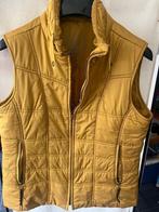 Bodywarmer Betty Barclay, Kleding | Dames, Geel, Maat 42/44 (L), Betty Barclay, Ophalen of Verzenden