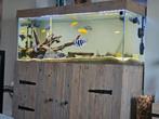Prachtige op maat gemaakte complete aquarium, Dieren en Toebehoren, Ophalen, Zo goed als nieuw