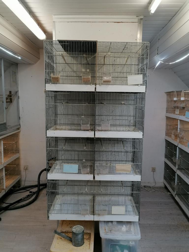 4 cages d'élevage, Animaux & Accessoires, Enlèvement