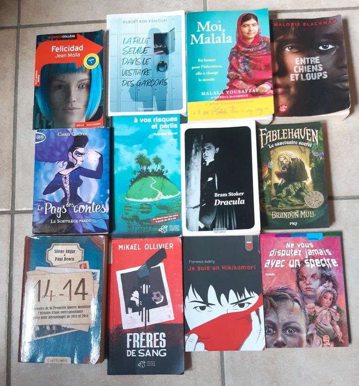 livres, romans, Livres, Romans, Comme neuf, Enlèvement