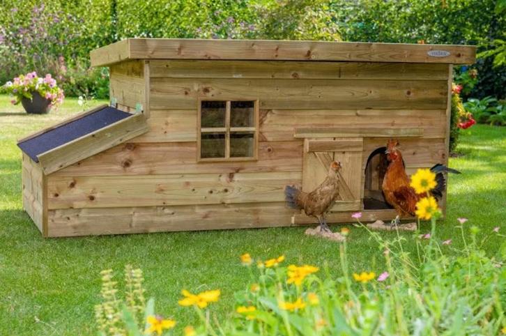 Kippenhok Fenne, Dieren en Toebehoren, Pluimvee | Toebehoren, Nieuw, Kippenhok of Kippenren, Ophalen of Verzenden