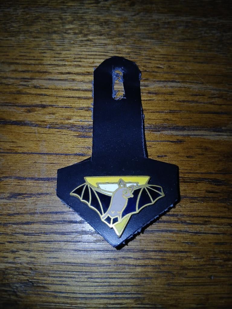 Breloque 9 wing 11 sqn, Envoi, Armée de l'air, Emblème ou Badge