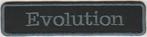 Harley Davidson Evolution stoffen opstrijk patch embleem #2, Motoren, Verzenden, Nieuw