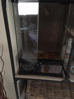 Terrarium 30x30x45, Dieren en Toebehoren, Ophalen, Zo goed als nieuw, Terrarium of Paludarium