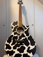 Handgeschilderde gitaar (decoratief), Muziek en Instrumenten, Ophalen, Zo goed als nieuw