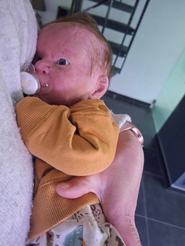 silicone reborn baby Louis + 2 certificaten, Enlèvement ou Envoi, Neuf, Baby Pop, Réaliste ou Reborn