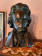 Beethoven kop, Enlèvement