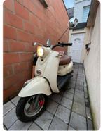 Scouter  fiera perfecte staat