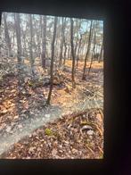 Bosgrond  0032 0497 06 03 04