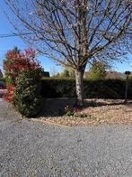 Jardinier / manoeuvre, Enlèvement