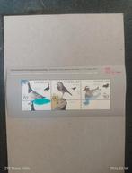 Tamponnez les oiseaux, Enlèvement ou Envoi