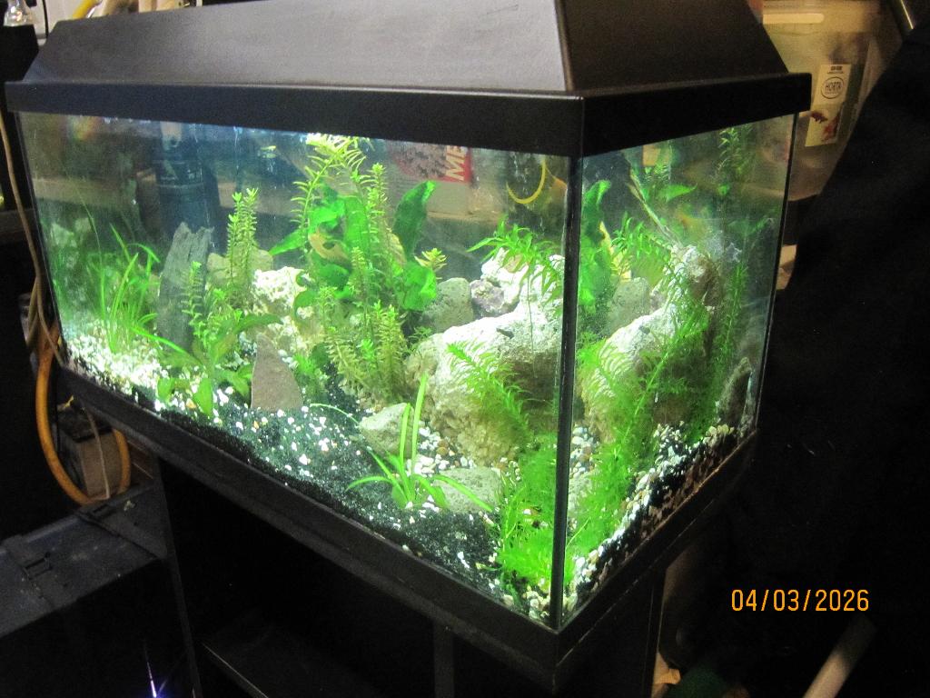 Mooi beplant aquarium, Enlèvement, Chauffage, Utilisé, Filter