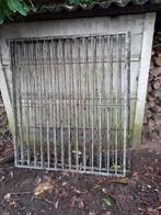 Honden ren, Dieren en Toebehoren, Ophalen